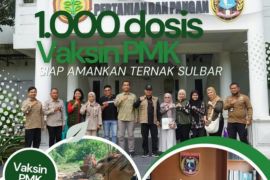 Sulbar siapkan 1.000 dosis vaksin PMK