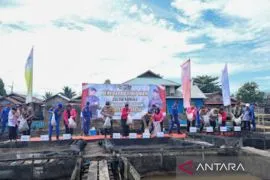 Pemkot Banjarmasin berpartisipasi tebar puluhan ribu bibit ikan