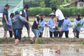 Kaltim dukung rehabilitasi 170 ribu hektar lahan kritis