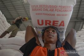 Distribusi pupuk subsidi untuk komoditi pangan