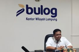 Bulog Lampung siap jalankan SPHP 3 komoditas pangan strategis di 2025