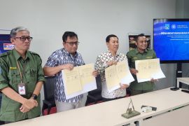 PT Petani Milenial Sleman kembangkan budidaya pepaya california