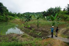 Kukar bangun irigasi di lahan eks tambang