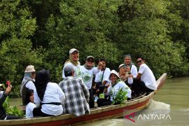  Festival Mangrove wujud pelestarian lingkungan