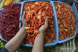 Harga pangan pada Sabtu cenderung turun: Cabai rawit merah Rp70.730 per kg