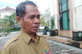 525 pelamar PPPK tahap pertama di Penajam Paser Utara  dinyatakan lulus