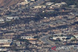 Kebakaran Los Angeles, KJRI catat 97 WNI terdampak