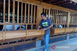 Kelompok kecil itu jadi pemasok bibit unggul kambing