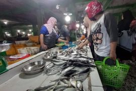 Ekspor perikanan Babel turun