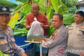 Polrestabes Palembang tebar 1.000 bibit nila