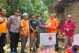 Rumah roboh akibat pohon tumbang, BPBD Probolinggo berikan bantuan