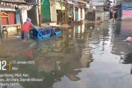 Jalan menuju Pelabuhan Muara Angke kembali terendam rob