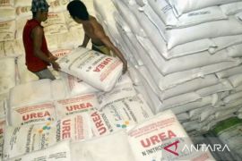 Petani di Karawang banyak tidak menebus pupuk bersubsidi pada 2024