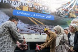 UMKM NTB membidik pasar ekspor kemiri ke Arab Saudi