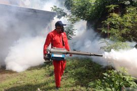 Pengendalian demam berdarah di Kota Kediri