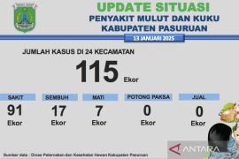 Disnakkeswan Pasuruan catat 68 kasus PMK baru dalam seminggu