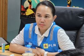 PLN Sukses Amankan Suplai Listrik di Malam Tahun Baru 2025