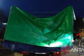 Satgas TNI AL amankan 60 ton biji timah ilegal di Bangka Selatan