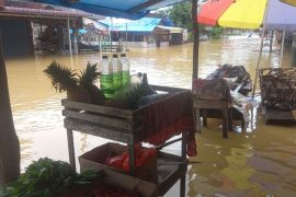 Banjir melanda lima desa di Kampar