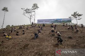 Aksi penanaman pohon di Kabupaten Cianjur
