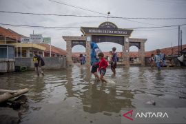 Banjir rob di pesisir Indramayu