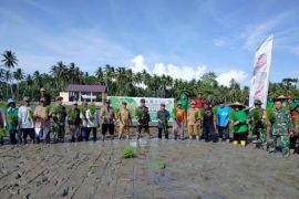 Program Gertak dukung swasembada pangan di Pasangkayu