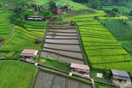 Desa Wisata Ketapanrame Mojokerto