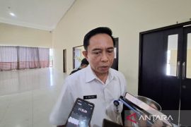 Jalan masuk menuju Stadion Batakan Balikpapan terus dipercantik