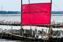 KKP sebut pemagaran laut di Bekasi masuk kategori reklamasi