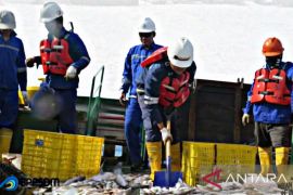 BPPP Ambon-BPSDM KP gencarkan program sertifikasi keahlian awak kapal perikanan