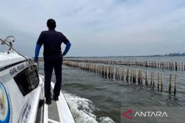 Petugas PSDKP KKP terjun ke lokasi pemagaran laut di perairan Bekasi