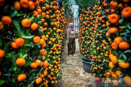 Lunar New Year, Ramadan close timing to boost consumption: expert