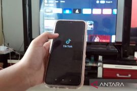 Warga AS melirik aplikasi RedNote sebagai pengganti TikTok