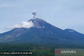 Gunung Semeru kembali erupsi letusan hingga 800 meter