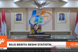 BPS sebut dampak kenaikan UMR baru terlihat pada Susenas Maret 2025