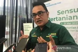 Nilai tukar petani Babel turun 1,03 persen