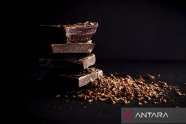 Konsumsi cokelat bermanfaat bagi kesehatan asalkan tak berlebihan