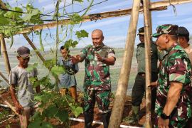 Danrem 041: "Urban farming" dukung pasokan Makan Bergizi Gratis