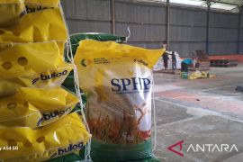 Bulog siap serap gabah produksi petani Aceh