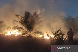 BPBD Bangka Barat: Ada 86 kejadian bencana sepanjang 2024