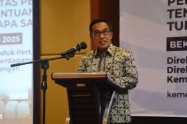 Kemendag atur kebijakan ekspor kratom dalam Permendag 9/2025