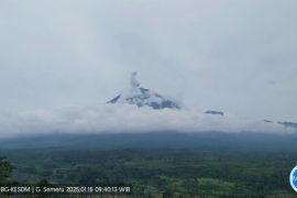 Gunung Semeru erupsi dengan letusan hingga 1.000 meter