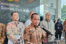 Ketua Satgas: Hilirisasi harus menjadi pemicu pertumbuhan ekonomi