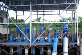 Program Electrifying Agriculture PLN raih 53.539 pelanggan baru di 2024
