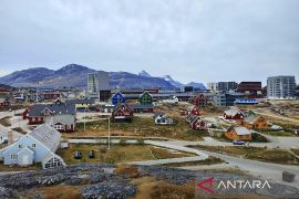 Finlandia dukung Greenland tetap jadi bagian dari Denmark