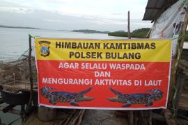 13 buaya penangkaran yang lepas berhasil dievakuasi