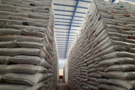 Bulog mulai serap gabah dan beras petani dengan harga baru