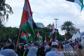 Massa aksi bela Palestina gembira atas gencatan senjata