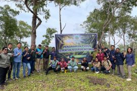 PLN UIP Nusra bersama UPT KPH Wilayah TTS sebar ratusan bibit pohon di Timor Tengah Selatan