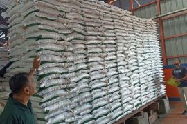 Bulog Putussibau siap beli gabah dan beras petani Kapuas Hulu